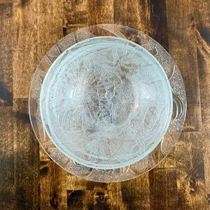 VINTAGE KIG Indonesia Hibiscus Bowl/Plate Set Clear Glass Salad Soup Cereal